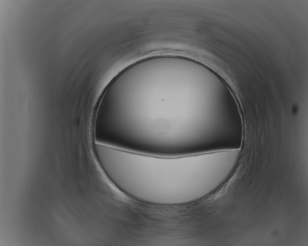 X0000093571533200710151006