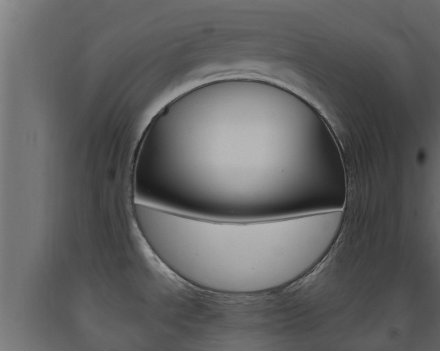 X0000093571534200710151006