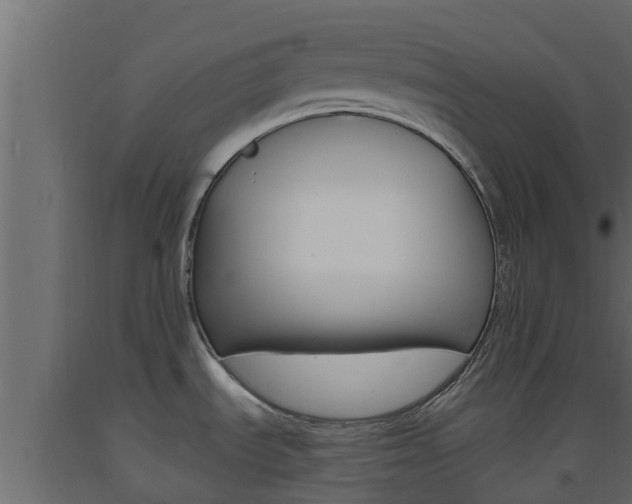 X0000093571535200710151006