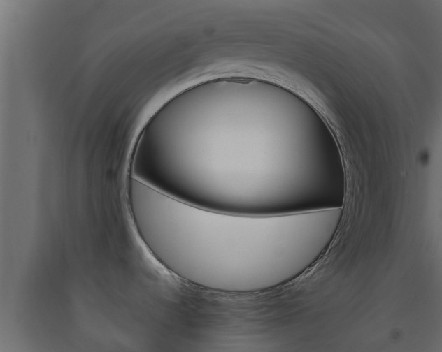 X0000093571536200710151006