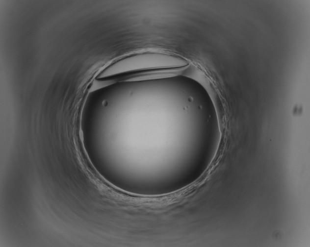 X0000093570001200710151136