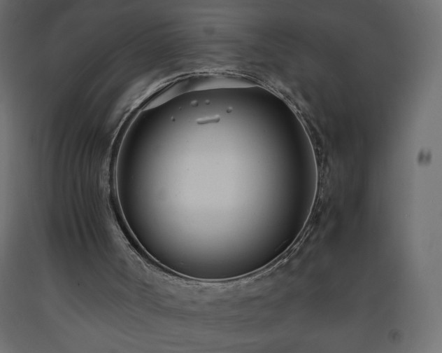X0000093570002200710151136