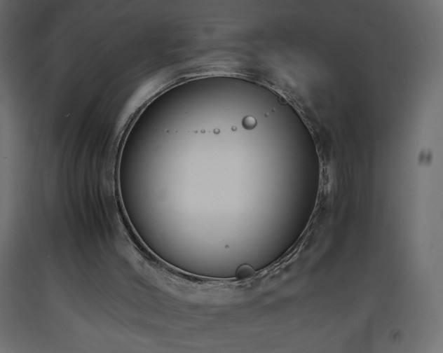 X0000093570004200710151136