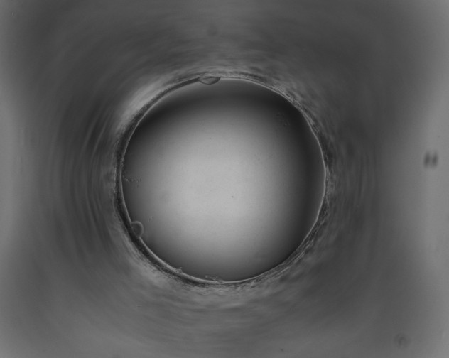 X0000093570005200710151136