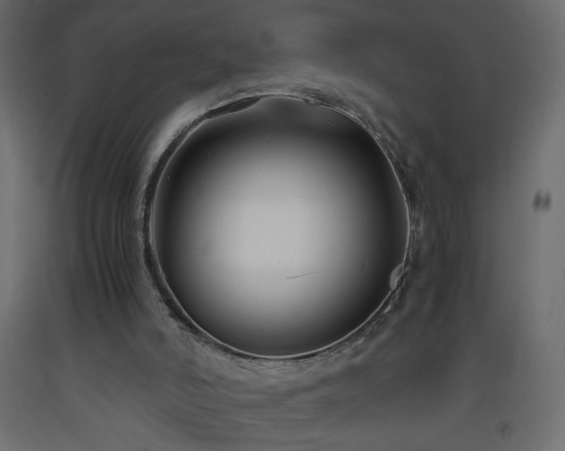 X0000093570006200710151136