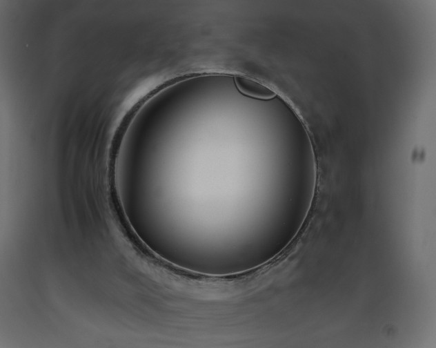 X0000093570008200710151136