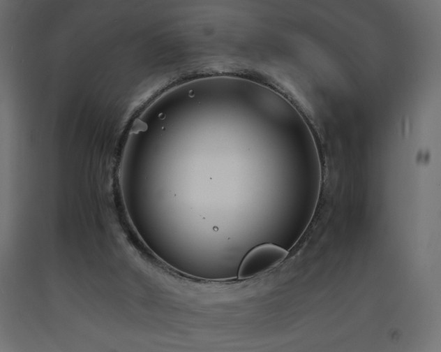 X0000093570010200710151136