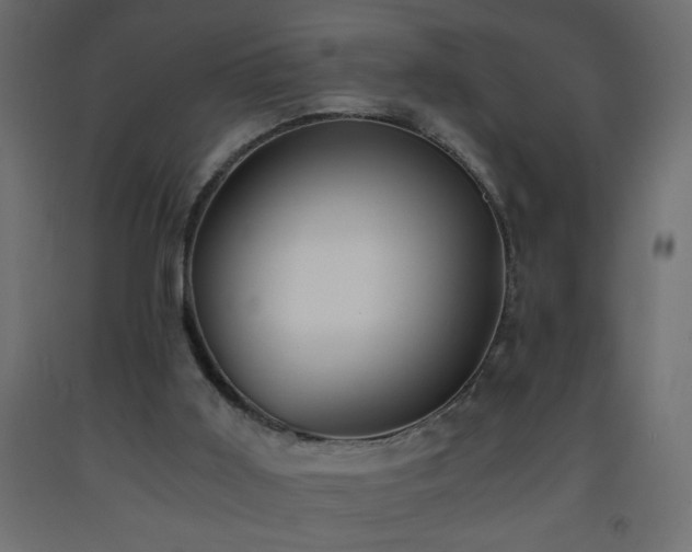 X0000093570011200710151136