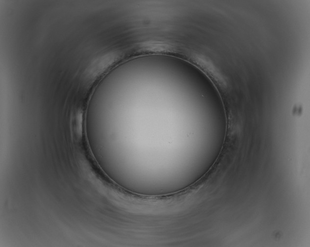 X0000093570014200710151136
