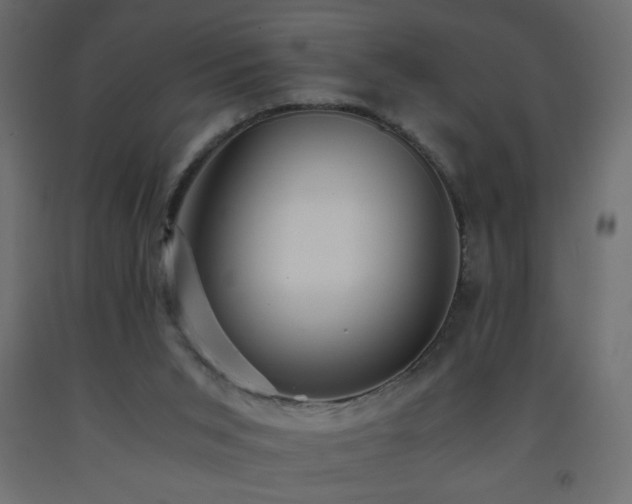 X0000093570015200710151136