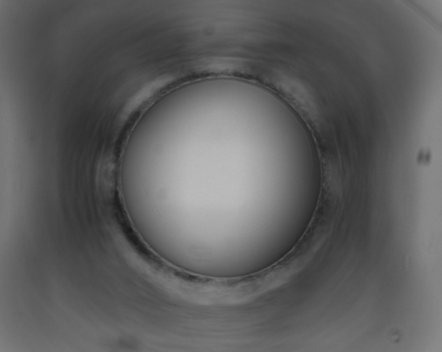 X0000093570016200710151136