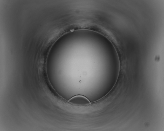 X0000093570018200710151136