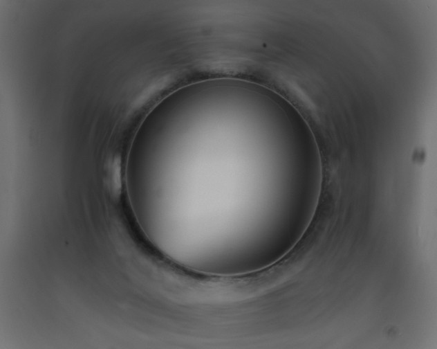 X0000093570020200710151136
