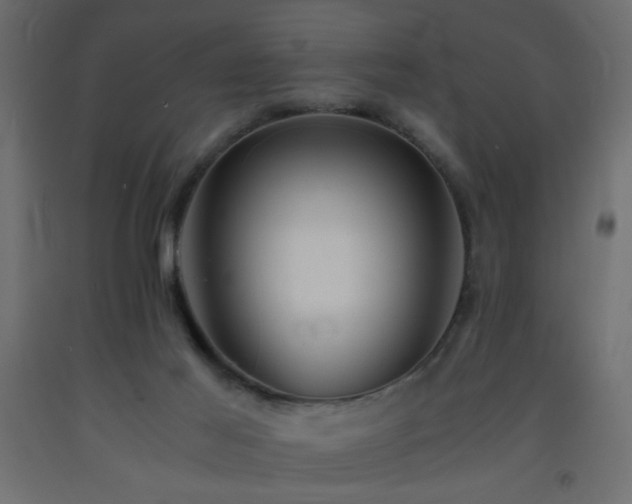 X0000093570021200710151136