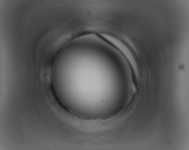 X0000093570023200710151136