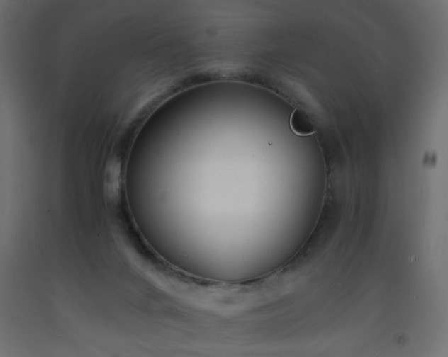 X0000093570024200710151136