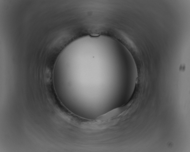 X0000093570025200710151136