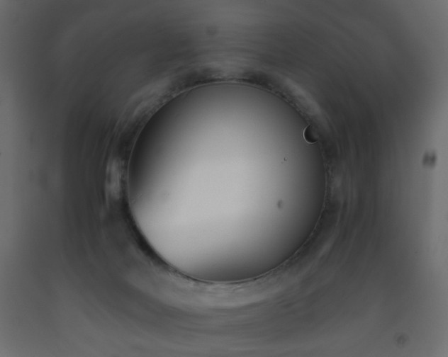 X0000093570026200710151136