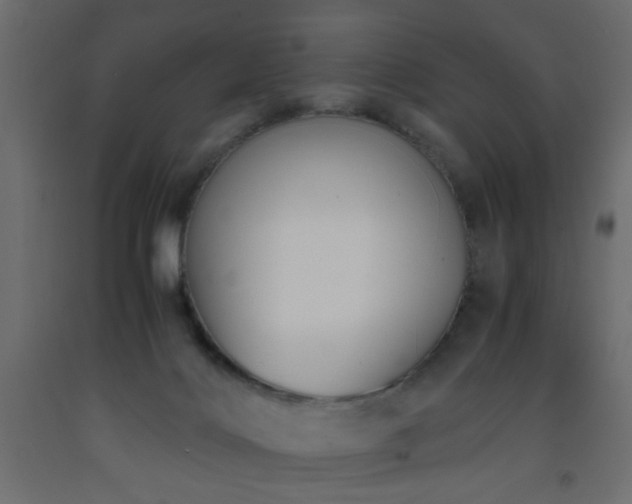 X0000093570028200710151136