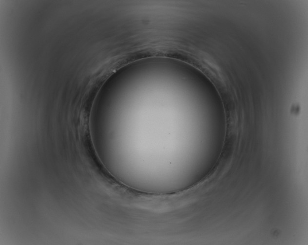 X0000093570029200710151136