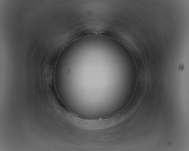 X0000093570030200710151136