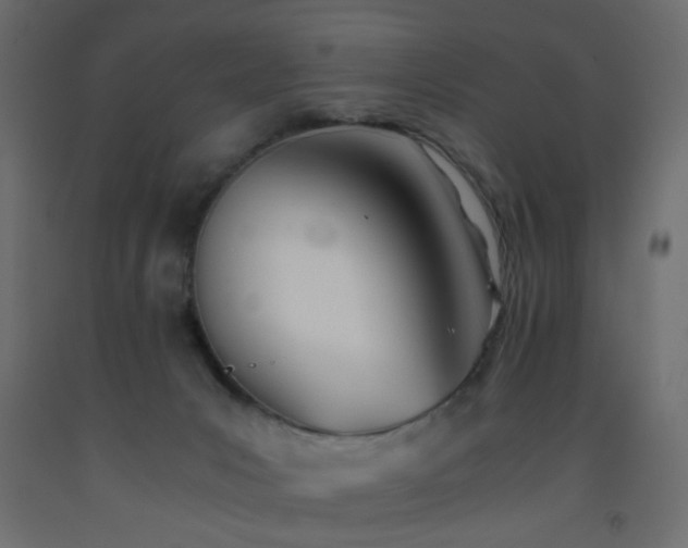 X0000093570031200710151136