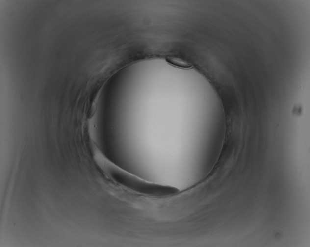 X0000093570033200710151136