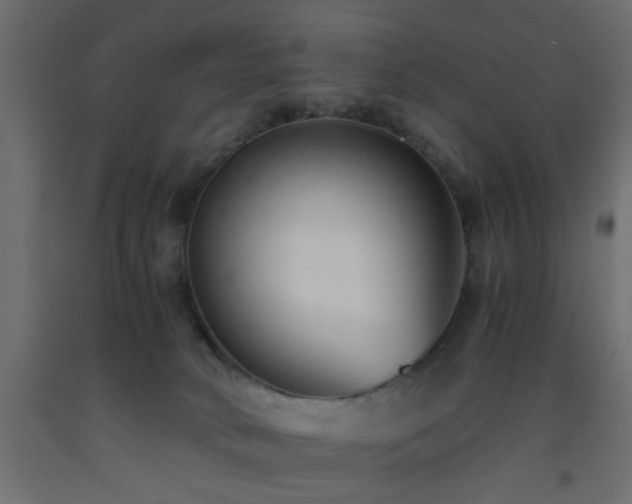 X0000093570034200710151136