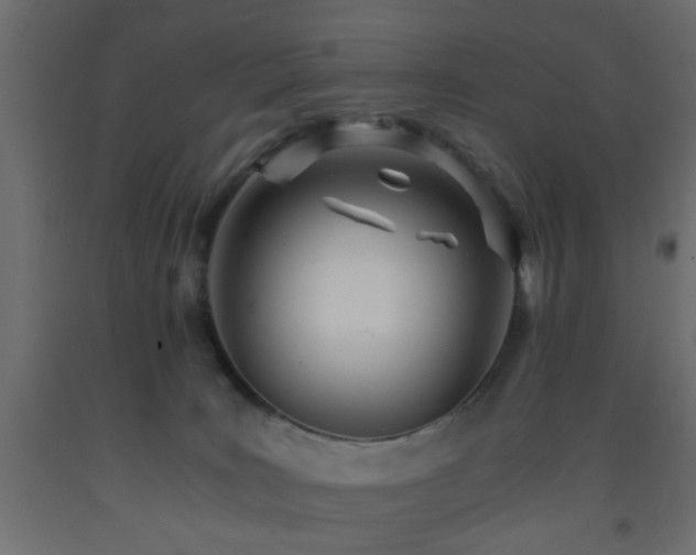 X0000093570035200710151136