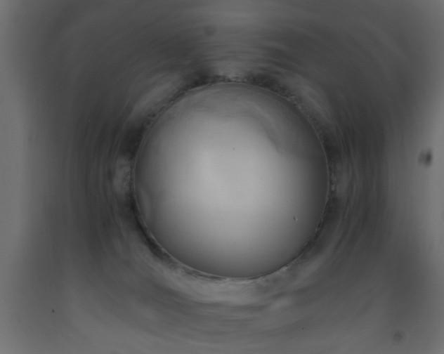 X0000093570036200710151136