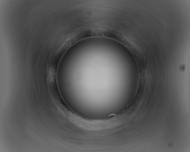 X0000093570038200710151136