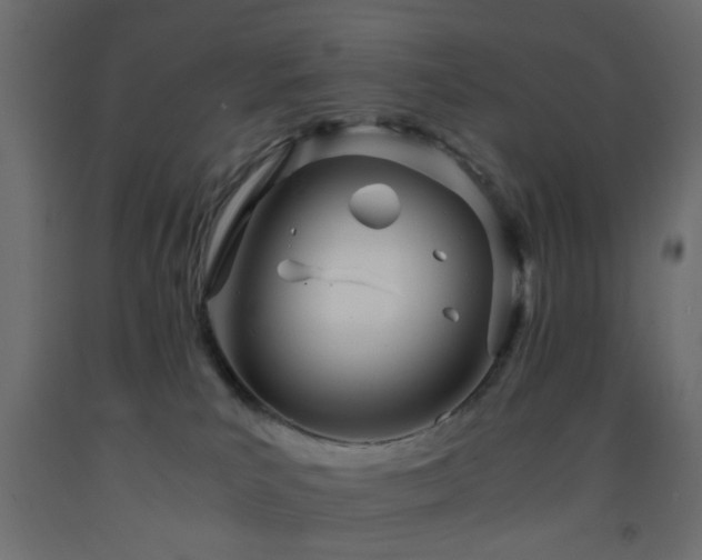 X0000093570039200710151136