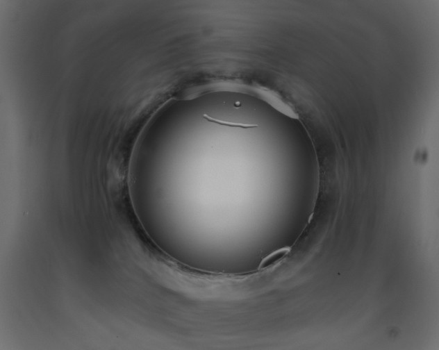 X0000093570040200710151136