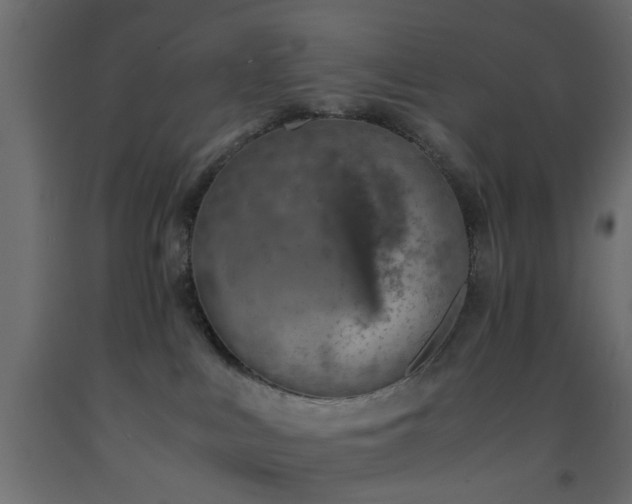 X0000093570043200710151136