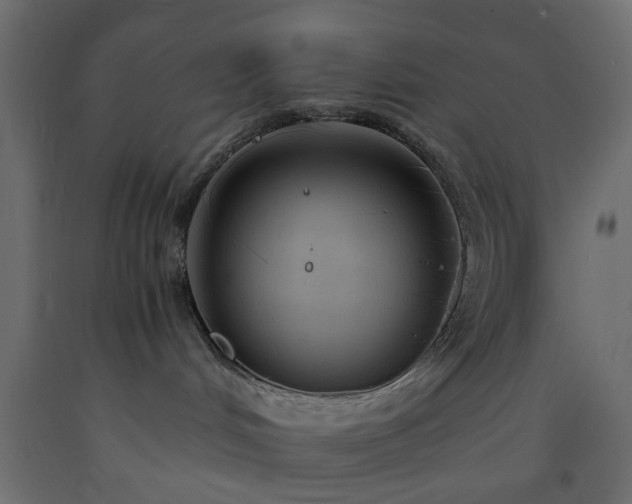 X0000093570048200710151136