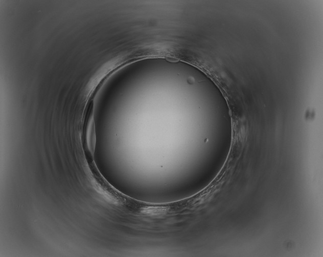 X0000093570051200710151135