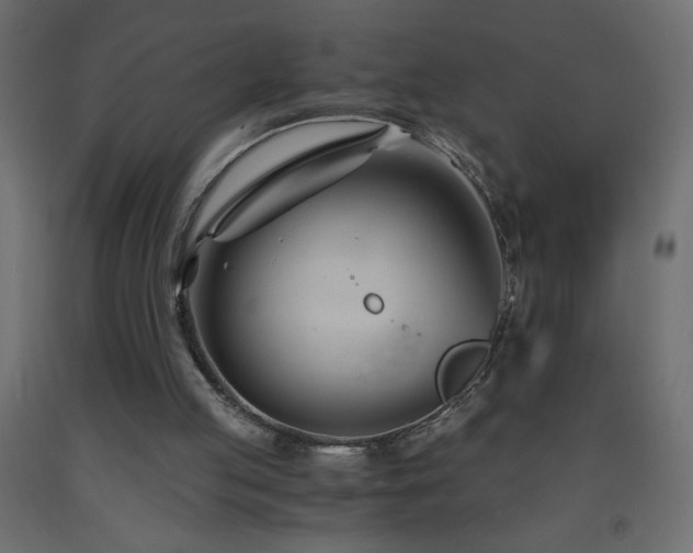 X0000093570053200710151135