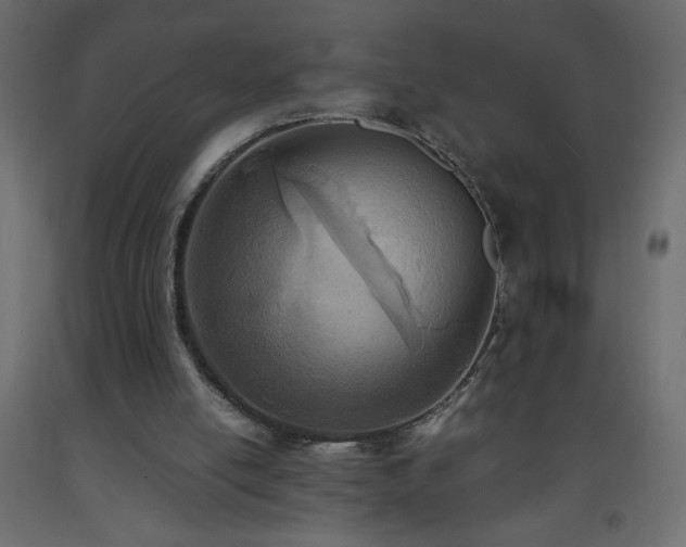 X0000093570054200710151135