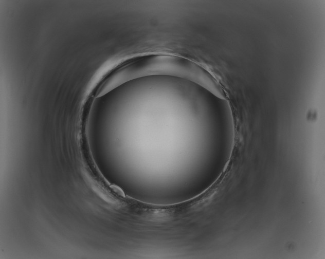 X0000093570056200710151135