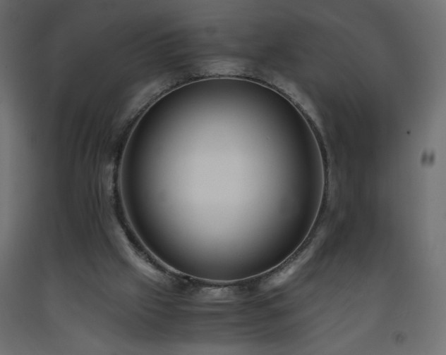 X0000093570057200710151135