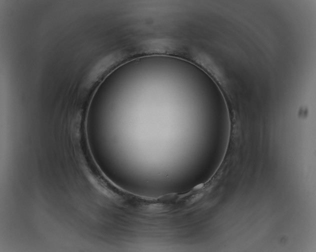 X0000093570058200710151135