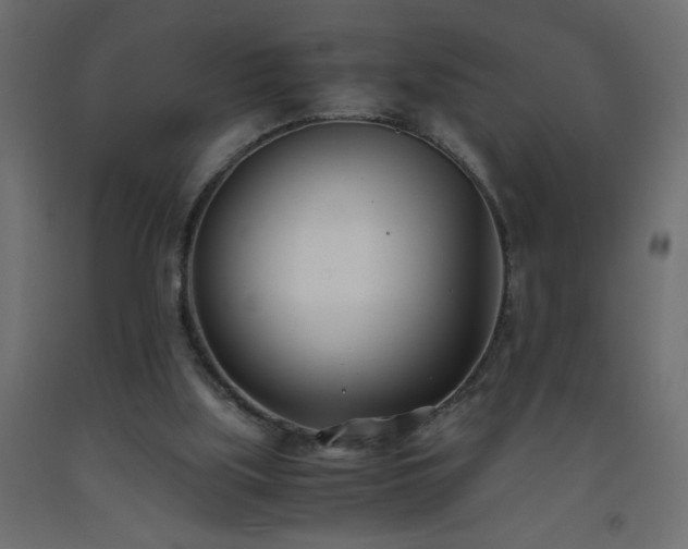 X0000093570059200710151135