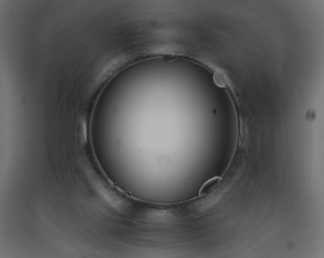 X0000093570061200710151135