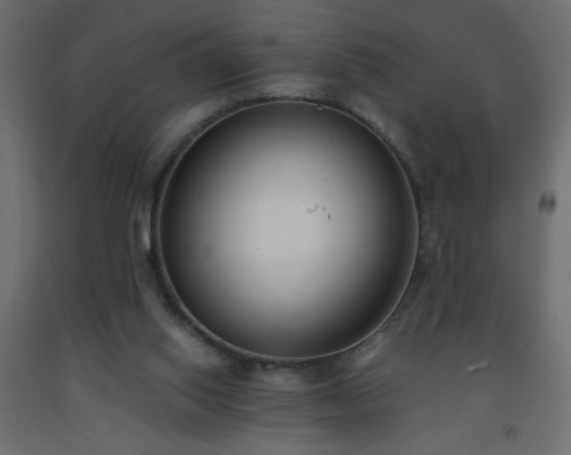 X0000093570062200710151135