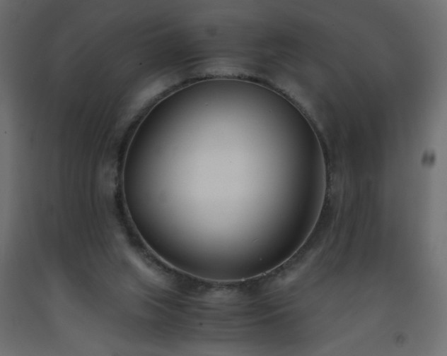 X0000093570063200710151135