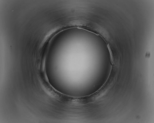 X0000093570064200710151135