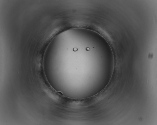 X0000093570065200710151135