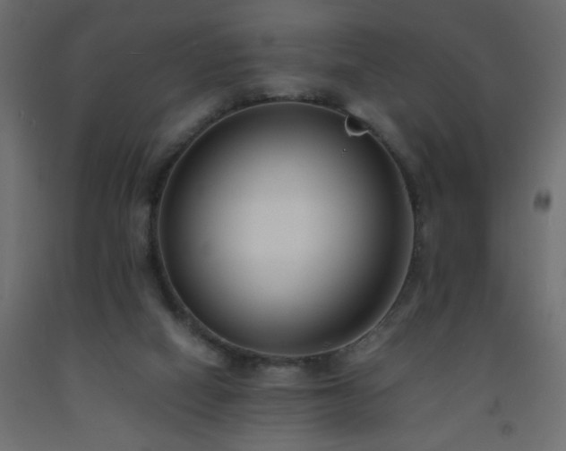 X0000093570066200710151135