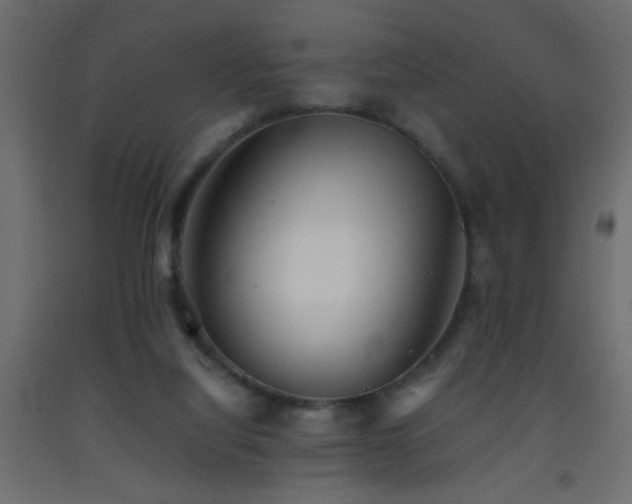 X0000093570068200710151135