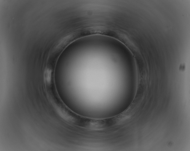 X0000093570070200710151135